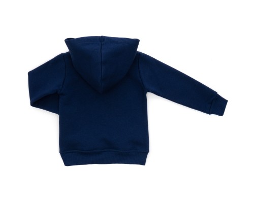Спортивний костюм дитячий Smile флисовий (8168-982G-blue)