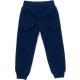 Спортивний костюм дитячий Smile флисовий (8168-982G-blue)