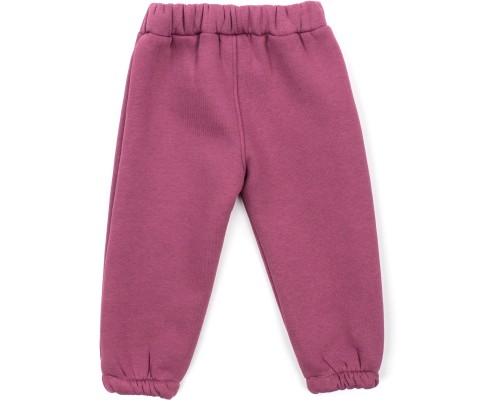 Штани дитячі Joi флісові (BE-801-104G-violet)