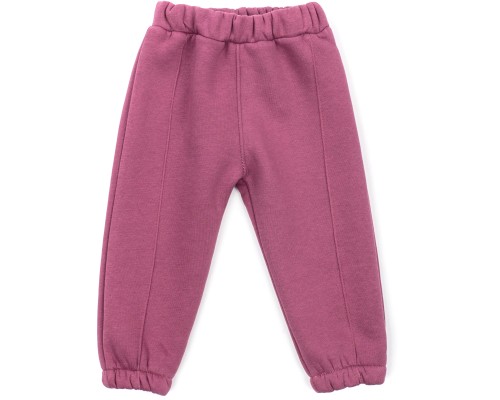 Штани дитячі Joi флісові (BE-801-104G-violet)