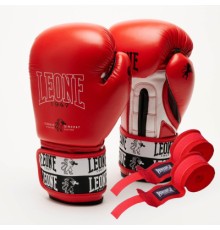 Боксерські рукавички Leone GN208 Iconic Red 10 унцій (GN208_Red_10oz)