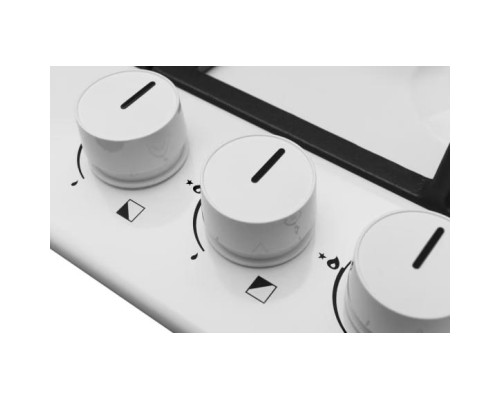 Варочна поверхня Hansa BHGW630502