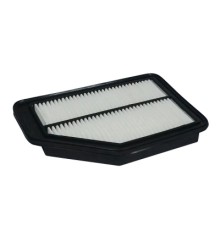 Повітряний фільтр для автомобіля Champion CAF100925P