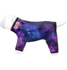 Дощовик для тварин Collar WAUDOG Clothes 