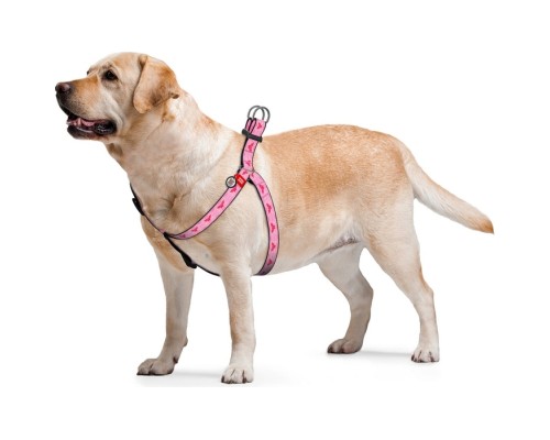 Шлея для собак WAUDOG Nylon з QR паспортом анатомічна 