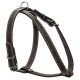Шлея для собак Collar одинарна для малих порід Ш 14 мм А:40-48 см В:43-51 см чорна (06341)