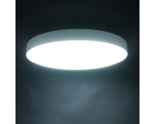 Світильник Yeelight C2001C450 Ceiling Light -450mm (YLXD036)