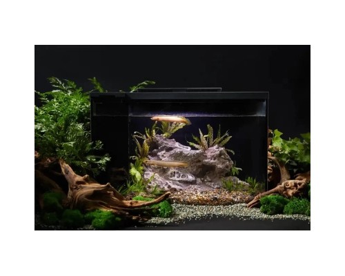 Акваріум Petkit ERAARK Smart Fish Tank PRO E420 15 л (AQ-1S)