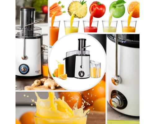 Соковижималка Adler AD 4128