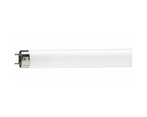 Лампочка Philips TL-D G13 1200mm 36W/54-765 1SL/25 (928048505451)