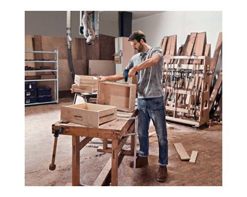 Шуруповерт Bosch Professional GSR 12V-30 2x 2.0Аг, GAL 12V-40, кейс (0.601.9G9.000)