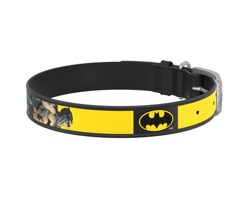 Нашийник для тварин WAUDOG Design з QR паспортом 