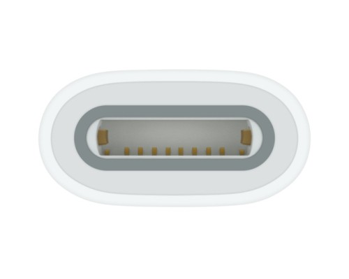 Адаптер Apple USB-C to Apple Pencil Adapter, Model A2869 (MQLU3ZM/A) 