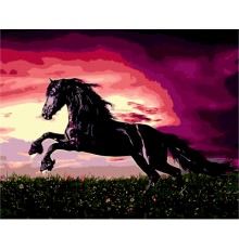 Картина по номерам ZiBi Чорний красень 40*50 см ART Line (ZB.64249)