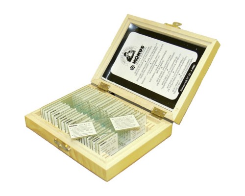 Набір мікропрепаратів Konus Ботаніка Мохи, папоротеві, голонасінні 25 шт (4983)