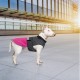 Попона для тварин Pet Fashion ROY 3XL малиново-сіра (4823082432905)