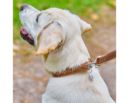 Нашийник для тварин WAUDOG Soft з QR паспортом металічні прикраси M коричневий (7207)