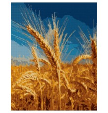 Картина по номерам Santi Золотий колос 40*50 см алмазна мозаїка (954705)