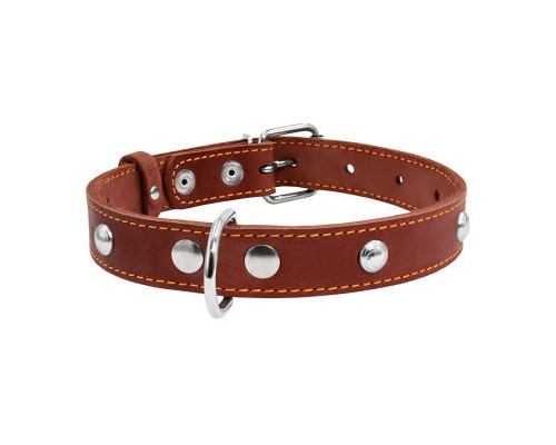 Нашийник для тварин Collar одинарний з прикрасами Ш 25 мм Д 38-50 см коричневий (02236)
