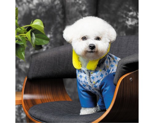 Костюм для тварин Pet Fashion Leaf S зелений (4823082431465)