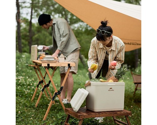 Термобокс Naturehike CNK2300BS011 24 л бежевий (6976023925665)