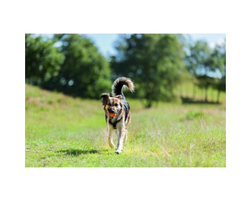 Іграшка для собак Trixie М'яч на мотузці Плавучий Натуральна гума Помаранчевий 17 см 4.5 см 35 см (4011905334813)