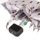 Парасоля Fulton Tiny-2 L501 Bees (L501-032572)