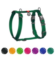 Шлея для собак WAUDOG Nylon Mono анатомічна H-подібна з QR паспортом, пластиковий фастекс, L зелена (545818)