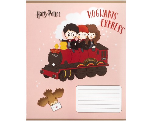 Зошит Kite Harry Potter, 12 аркушів, коса лінія (HP25-235)
