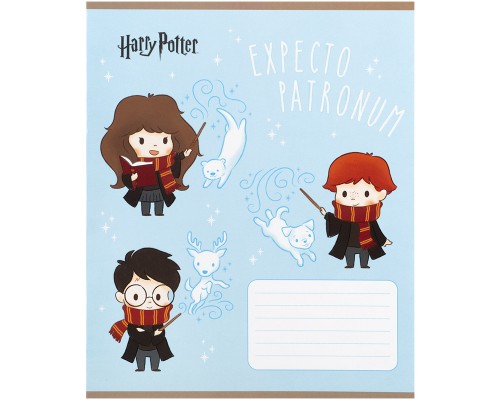 Зошит Kite Harry Potter, 12 аркушів, коса лінія (HP25-235)