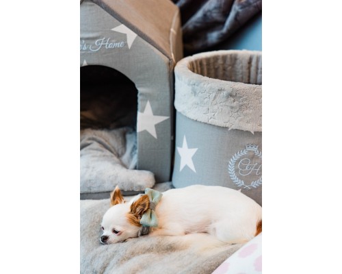 Нашийник для тварин Chloe's Home Багамські острови синій S (CLH2209)