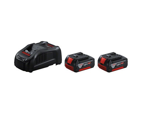 Набір акумулятор + зарядний пристрій Bosch 2 x 18 В 5,0 Ач + ЗП (1.600.A00.B8J)