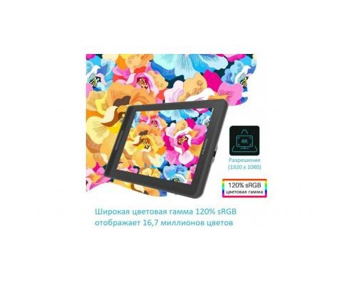 Планшет-монітор Huion Kamvas Pro 12 (PRO12)