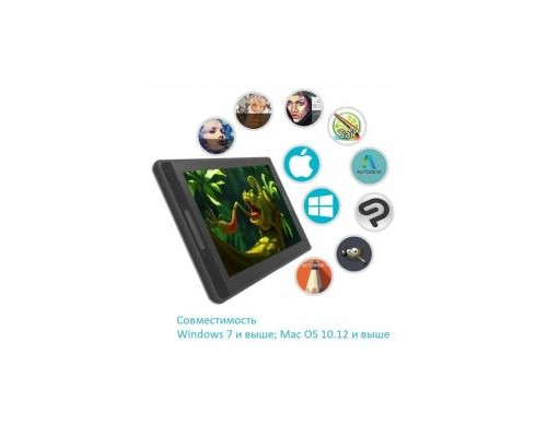 Планшет-монітор Huion Kamvas Pro 12 (PRO12)