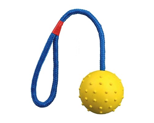 Іграшка для собак Trixie М'яч на мотузці з ручкою 30 см (кольори в асортименті) (4011905033082)