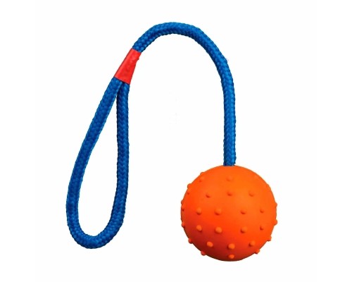 Іграшка для собак Trixie М'яч на мотузці з ручкою 30 см (кольори в асортименті) (4011905033082)