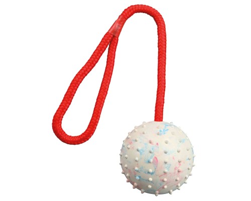 Іграшка для собак Trixie М'яч на мотузці з ручкою 30 см (кольори в асортименті) (4011905033082)