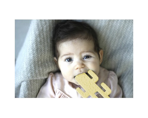 Прорізувач MinikOiOi Cactus - Aqua Green (101090001)