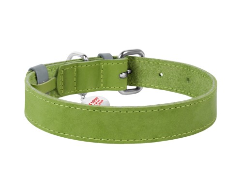 Нашийник для тварин WAUDOG Classic шкіряний 15 мм х 27-36 см салатовий (02075)
