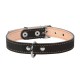 Нашийник для тварин Collar подвійний Ш 20 мм Д 32-40 см чорний (01411)