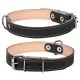 Нашийник для тварин Collar подвійний Ш 20 мм Д 32-40 см чорний (01411)