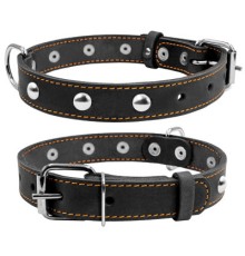 Нашийник для тварин Collar одинарний з прикрасами Ш 25 мм Д 38-50 см чорний (02231)