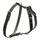 Шлея для собак Collar одинарна для малих та середніх порід Ш 20 мм А:40-56 см В:57-65 см чорна (06361)