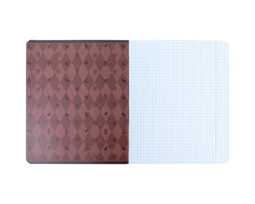 Зошит Kite Harry Potter 18 аркушів, клітинка (HP24-236)