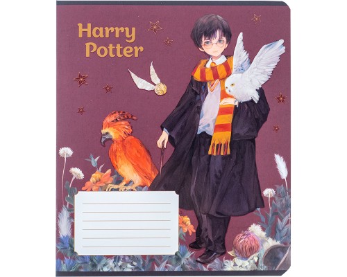 Зошит Kite Harry Potter 18 аркушів, клітинка (HP24-236)