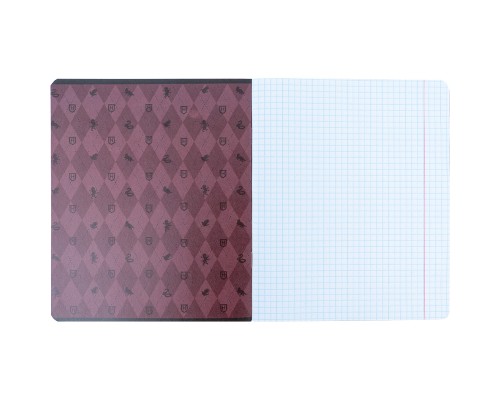 Зошит Kite Harry Potter 18 аркушів, клітинка (HP24-236)