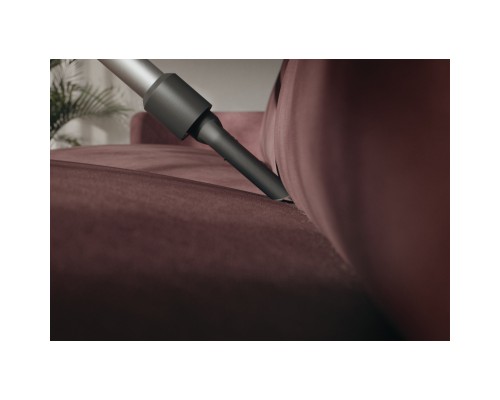 Пилосос Electrolux EP31CB21GP