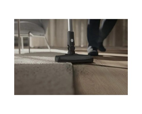 Пилосос Electrolux EP31CB21GP