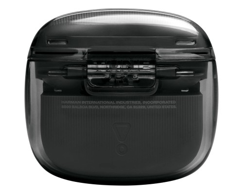 Навушники JBL Tune Flex 2 Ghost Black (JBLTFLEX2GBLK)
