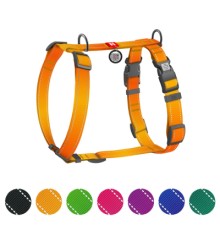Шлея для собак WAUDOG Nylon Mono анатомічна H-подібна з QR паспортом, пластиковий фастекс, L помаранчева (54584)
